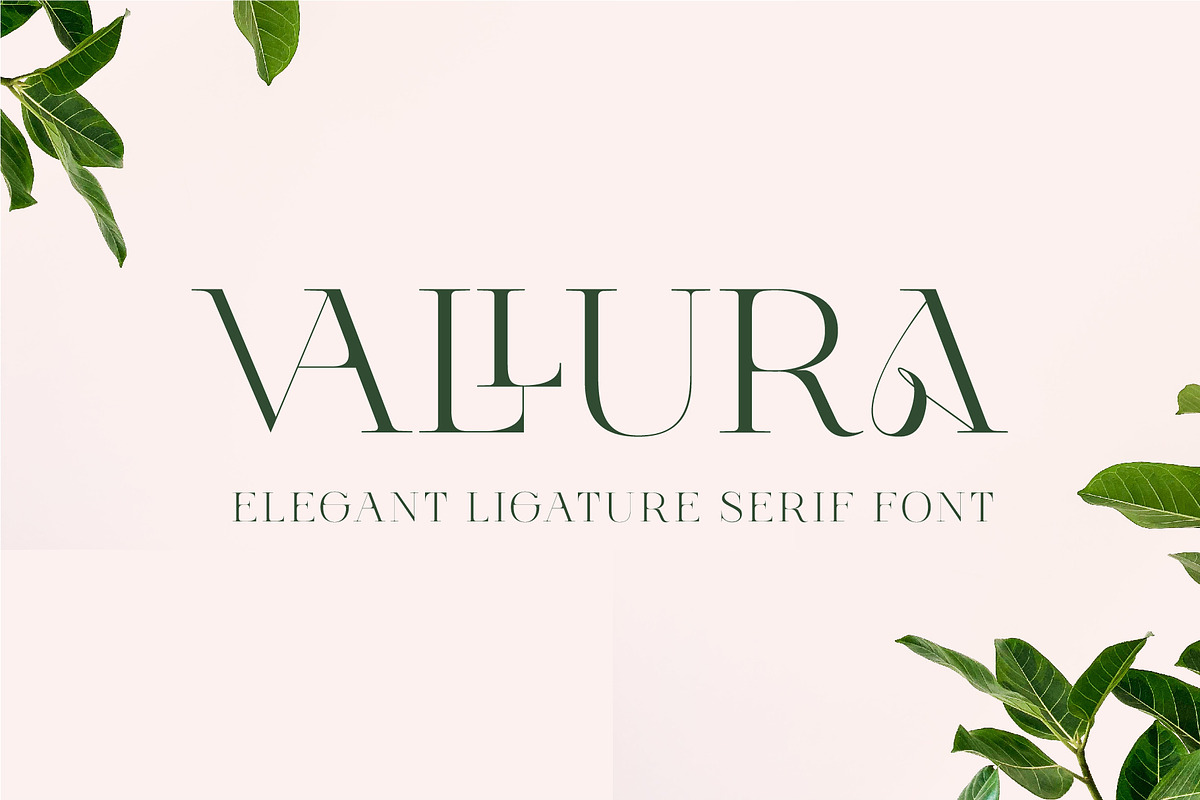 Vallura - Serif Display Font, a Sans Serif Font by Vesvocrea (Photo 1 of 9)