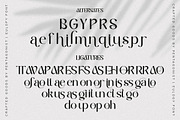 Eulogy | Variable Font Family, a Serif Font by Pentagonistudio (Thumbnail 8 of 9)