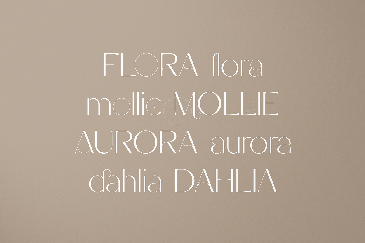 Stefania - font duo + more and more, a Script Font by VP Fonts (Photo 14 of 29)