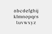 Reanointe Serif Display, a Serif Font by UICreative (Thumbnail 6 of 13)