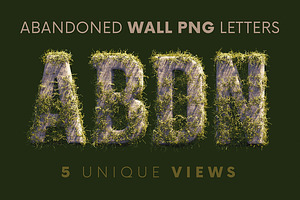 Abandoned Wall - 3D Lettering