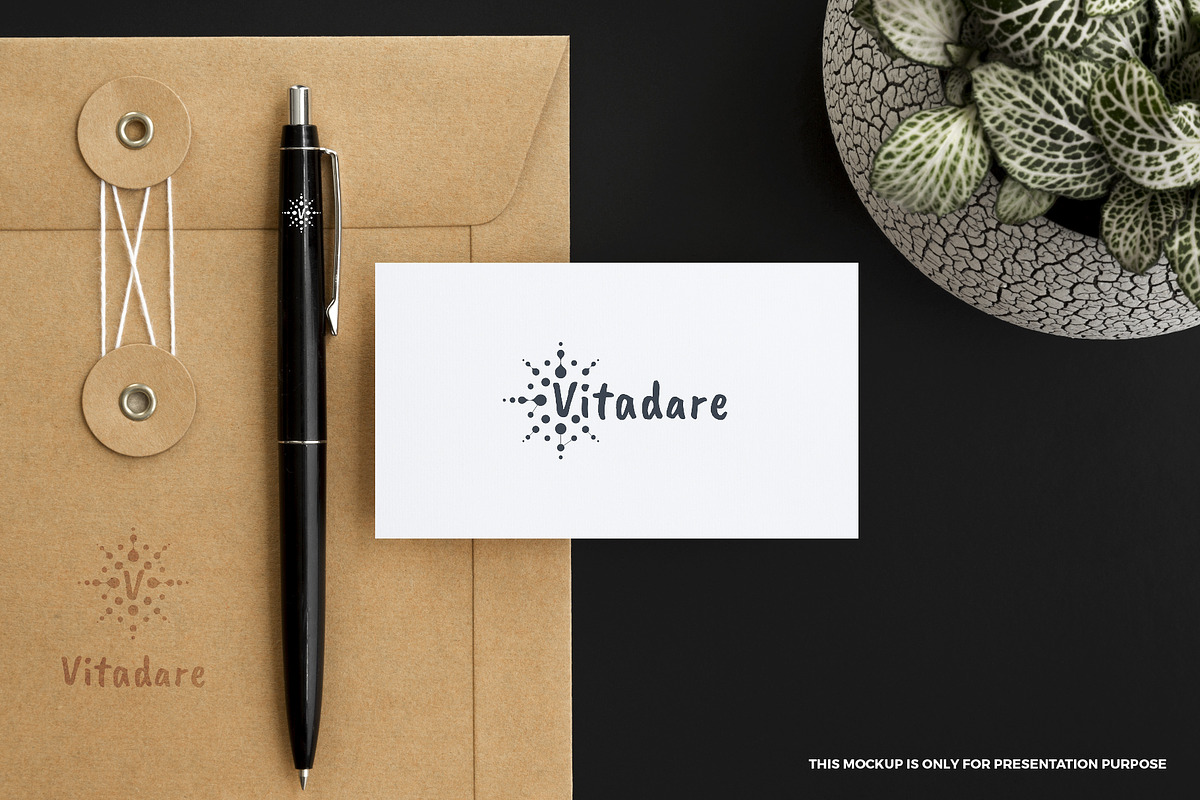 Vitadare logo, a Branding & Logo Template by MuzaInspires (Photo 4 of 5)