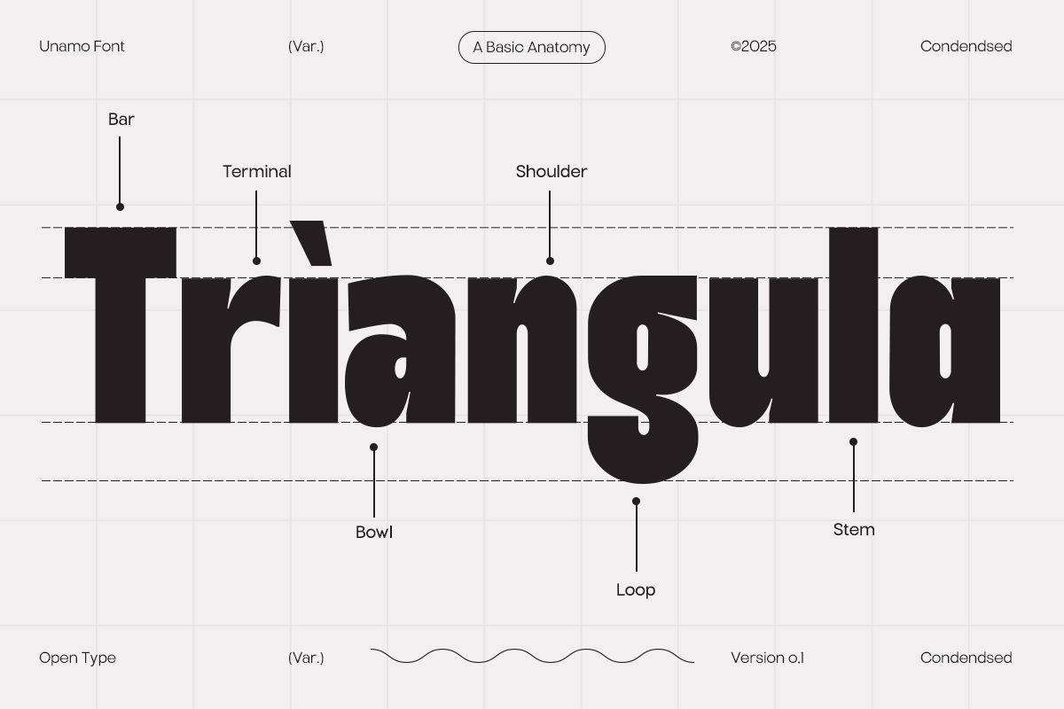 TT Unamo - Sans Display Condensed, a Sans Serif Font by truetype (Photo 14 of 15)
