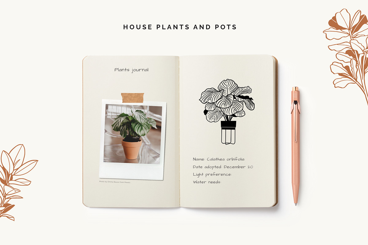 House Plants and Pots Collection, an Illustration by imajineko (Photo 5 of 9)