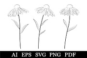 Flowers coloring. Daisies graphic, a Seasonal Illustration by IrinaShishkova (Thumbnail 1 of 2)