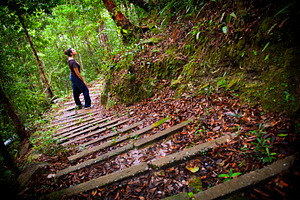 Woman Jungle Hiker, a Person Photo by THP Creative