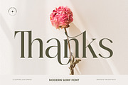 Mezaira Modern Serif Font, a Serif Font by timelesstype.co (Thumbnail 20 of 20)