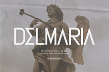 Delmaria | Modern Sans Serif