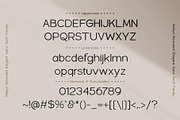 Mollyn Typeface, a Sans Serif Font by alit design (Thumbnail 3 of 17)