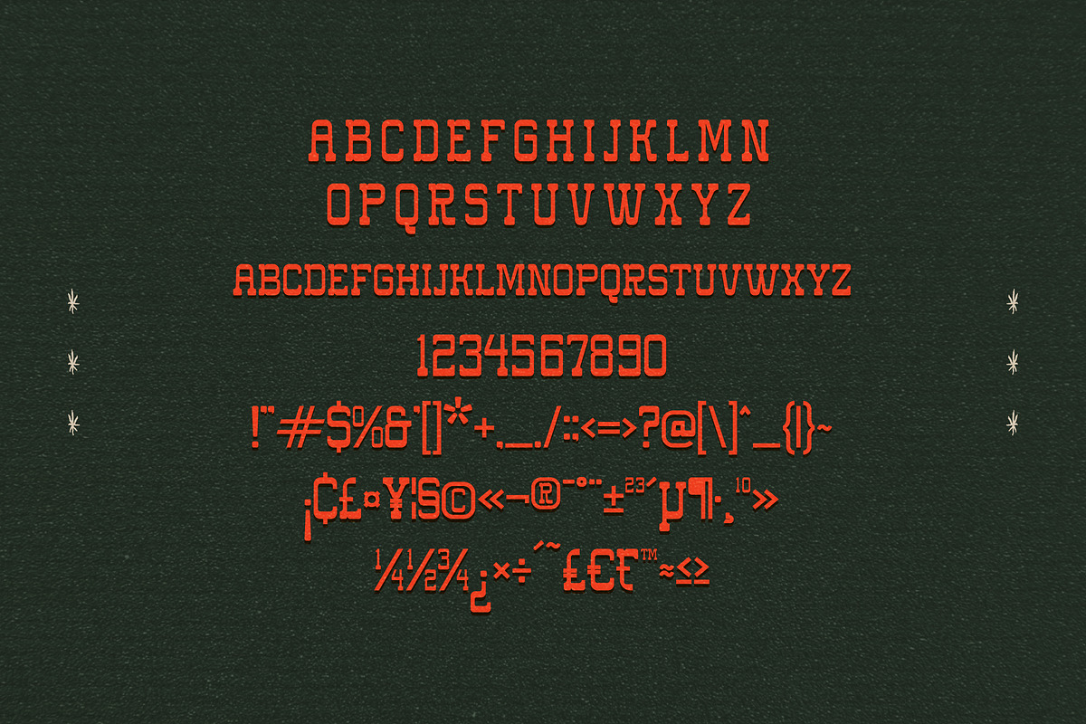 Western Carlo Retro Slab Serif Font, a Slab Serif Font by Storytype Studio (Photo 13 of 15)