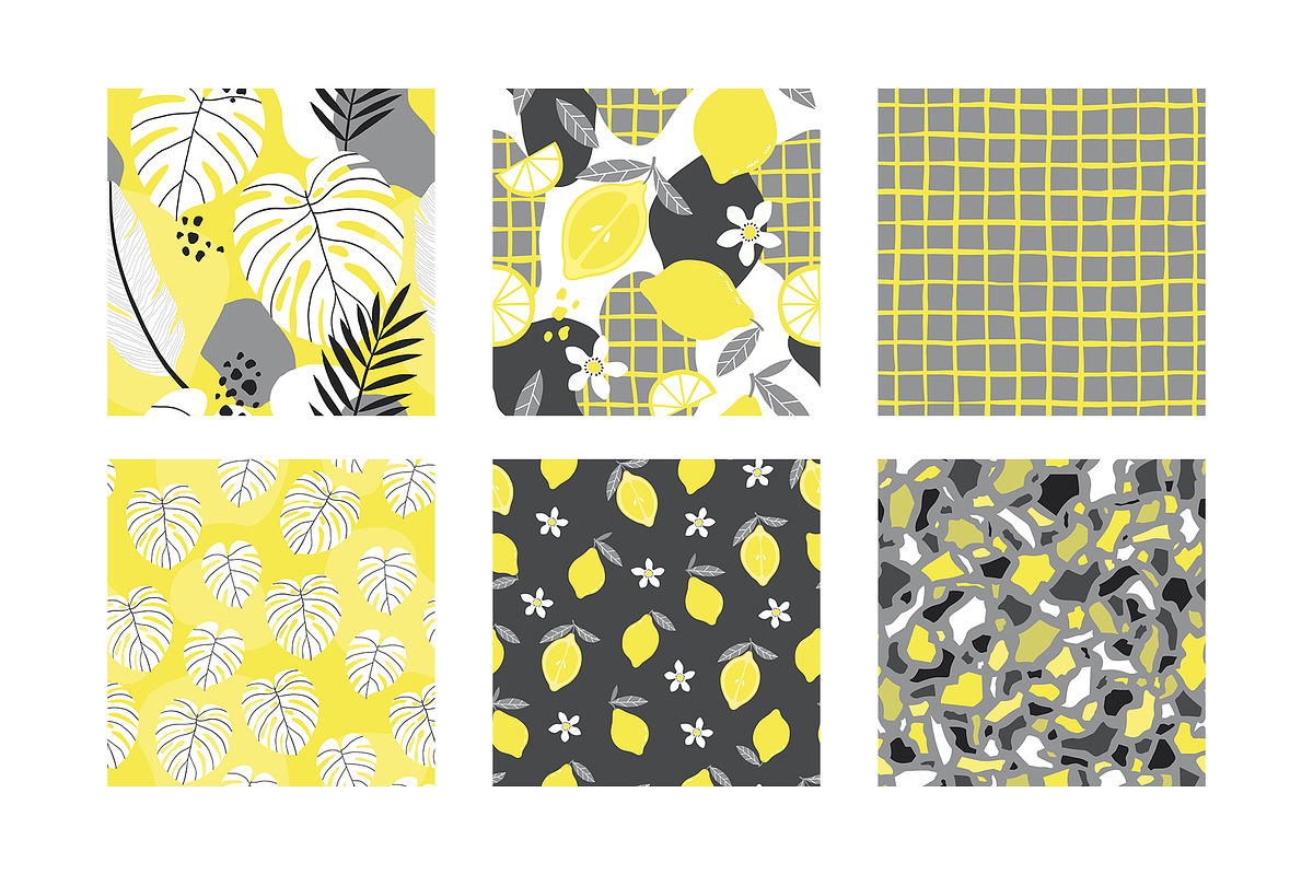 Summer Time Abstract Patterns Set, an Animal Illustration by Natalia Fedorova (Photo 2 of 11)
