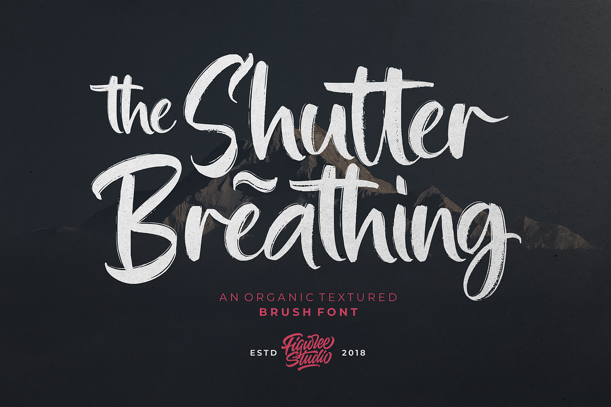 The Shutter Breathing - Brush Font, a Handwritten Font by figuree studio (Photo 1 of 10)