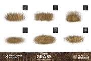 Dynamic Desert Grass Brushes, a Brush Add-On by Mohamed Saber (Thumbnail 5 of 6)