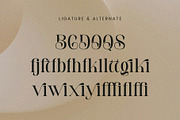 Begitta - Modern Serif Font, a Serif Font by Aqeel_Art (Thumbnail 8 of 12)