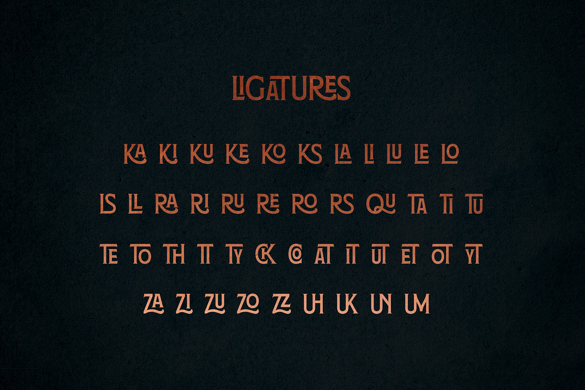Rochester - with 46 Ligatures, a Serif Font by Hustle Supply Co. (Photo 5 of 7)