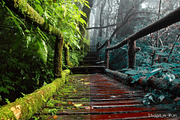 454 Infrared Fantasy Pro LUTs, a Preset Add-On by ShutterPro (Thumbnail 13 of 48)