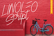 Monoline Script Collection - 3 Fonts, a Script Font by Twicolabs Fontdation (Thumbnail 3 of 10)