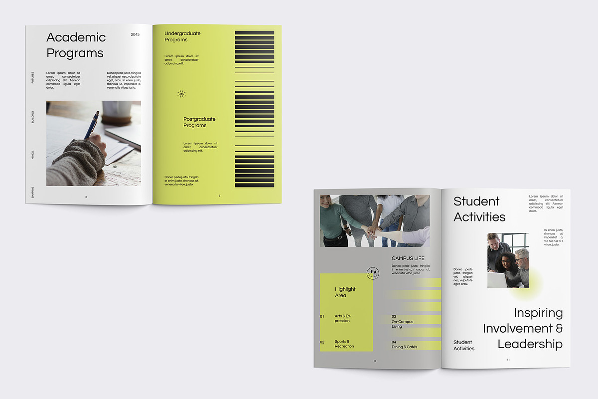 University Profile Brochure preview 5