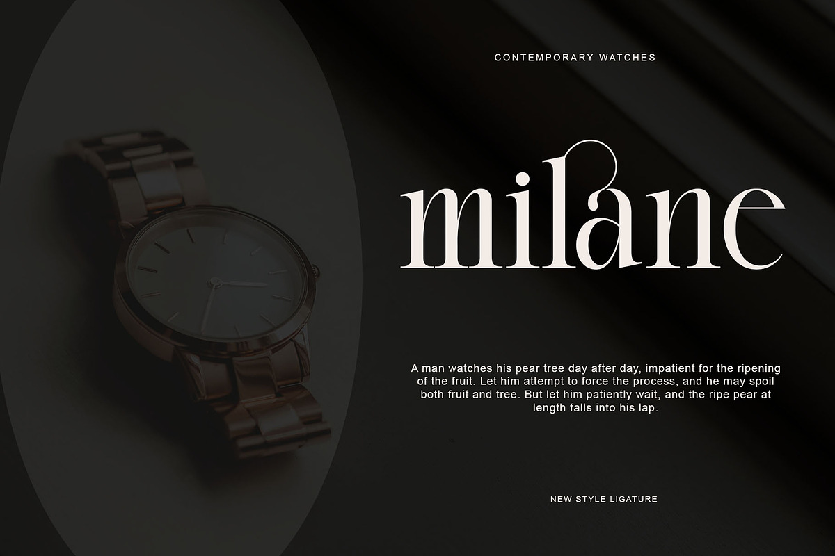 Blanck Modern Ligature Serif, a Serif Font by Alfinart (Photo 4 of 8)