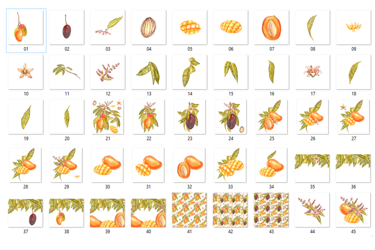 Mango clipart in botanical style, a Food Illustration by Ann Astro (Photo 3 of 10)