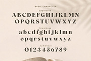 Wolffin - Bold Serif Font, a Serif Font by NTC Graphic (Thumbnail 10 of 13)