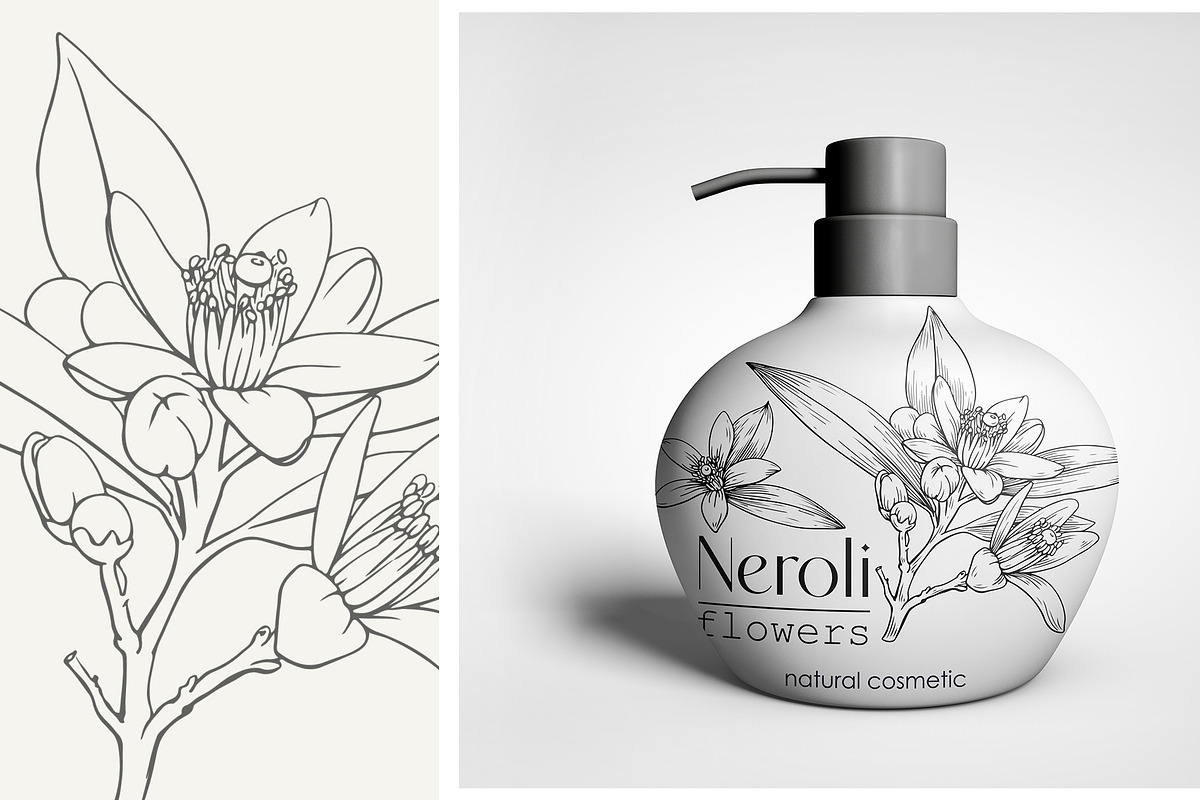 Flowers Neroli. Vector Botanical set, an Object Graphic by ON_lineart_store (Photo 5 of 10)