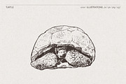Vintage Nature Landscape Collection, a Seasonal Illustration by TheMountBirdStudio (Thumbnail 12 of 17)