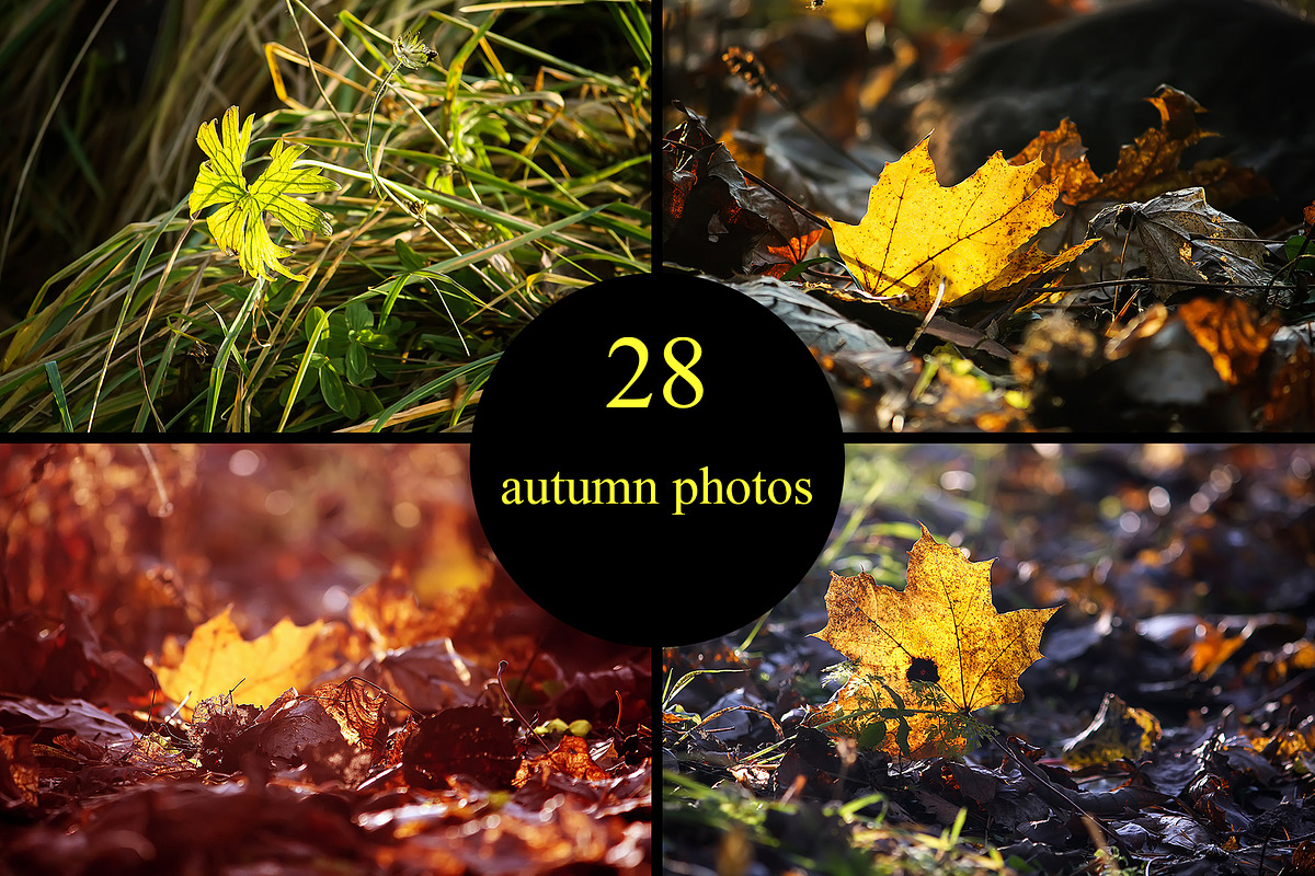 28 autumn nature photo pack, a Nature Photo by pictures for you (Photo 1 of 7)