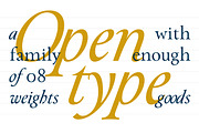 Paciencia, a Serif Font by typographias (Thumbnail 4 of 11)
