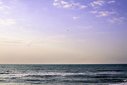 Coastal bundle, 15 photos, a Nature Photo by Frostroomhead (Thumbnail 10 of 16)