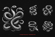 10 Bundle Dark Art Python Snake, an Illustration by Morspective (Thumbnail 5 of 7)