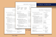 Professional Resume Template Word, a Resume Template by VictoriousVita (Thumbnail 4 of 8)