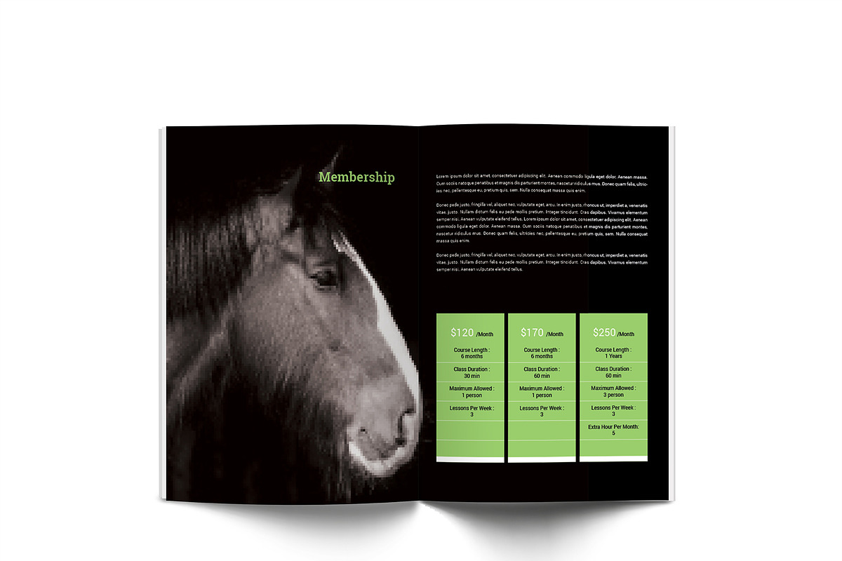 Horse Riding A4 Brochure, a Brochure Template by Incools Stokie (Photo 11 of 13)