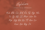 Style Line, a Script Font by Paul Hewitt (Thumbnail 9 of 9)