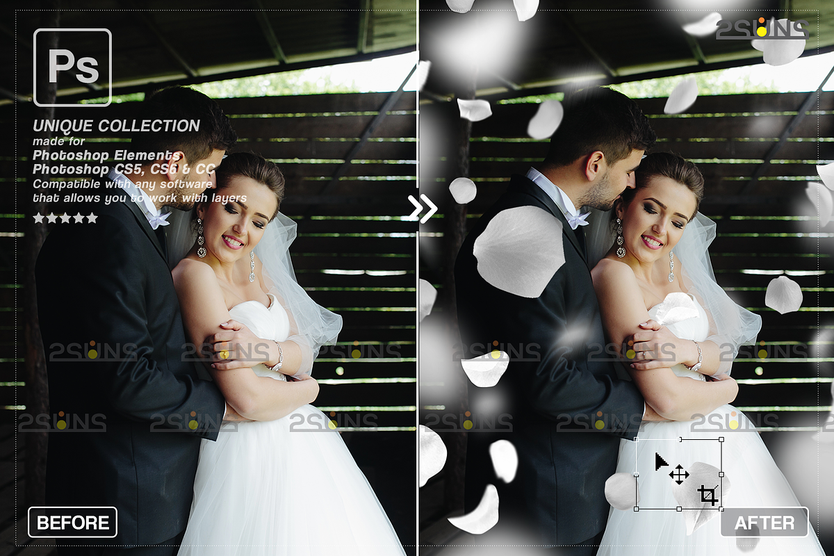 White Rose Petals photo overlays, an Object Graphic by 2SUNS (Photo 2 of 9)