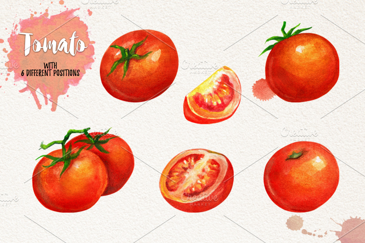 Watercolor Vegetables, Herbs, an Animal Illustration by Graphobia (Photo 2 of 12)