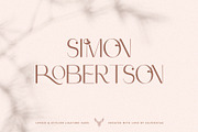 Celine - Chic Ligature Sans & Extras, a Sans Serif Font by SilverStag Type Foundry (Thumbnail 13 of 23)