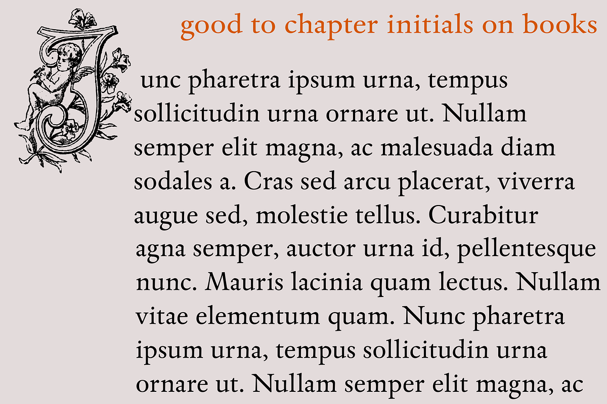 Kidnapped at Old Times 29, a Script Font by Intellecta Design (Photo 3 of 5)