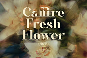 Rafina Elegant Serif Font, a Serif Font by Graphicxell (Thumbnail 2 of 8)