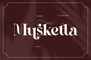 Qilona Elegant Serif Font