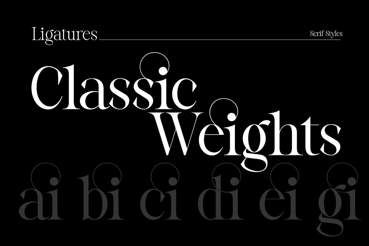 Reichamerina font family, a Serif Font by Ryul Davidson (Photo 17 of 27)