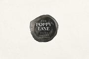 Apothecary Serif, a Serif Font by Nicky Laatz (Thumbnail 7 of 11)