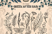 Green After Rain Botanical Set, an Object Illustration by Ink Stories (Thumbnail 3 of 13)