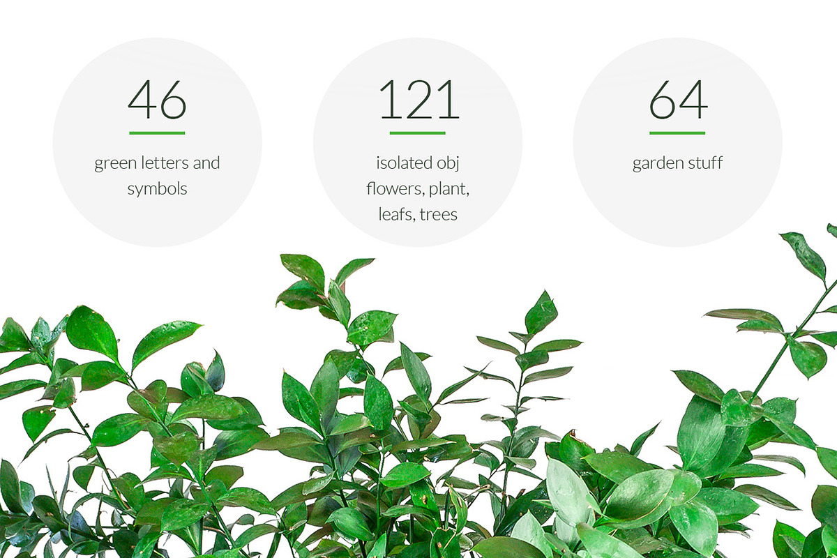 Green Stuff - flowers, trees, plants, a Mockup by byDimas (Photo 2 of 5)