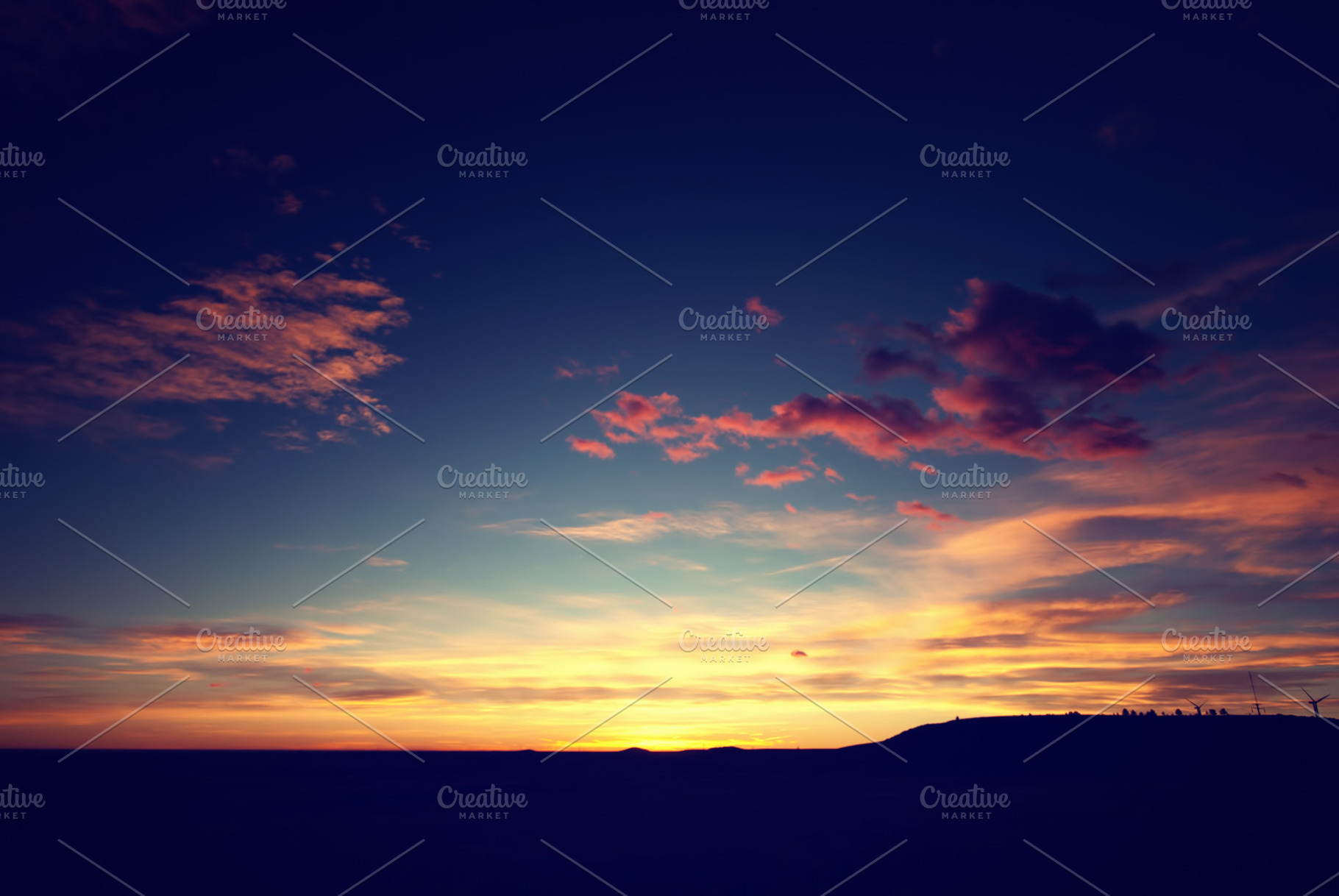 Return, a Nature Photo by Solefield