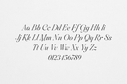Sweetform - Serif & Sans Font Duo, a Serif Font by VP Fonts (Thumbnail 22 of 23)