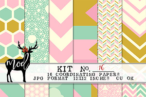 Background Papers Kit 16
