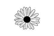 Daisy Flower Line Art Vector Bundle0, an Illustration by jahid234 (Thumbnail 21 of 51)