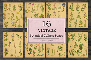 Vintage Botanical Book Pages