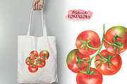 Watercolor Tomatoes, a Food Illustration by OlDm_Shop (Thumbnail 4 of 5)